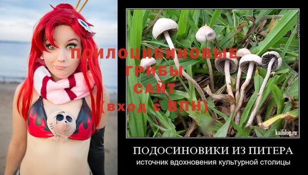 спиды Баксан