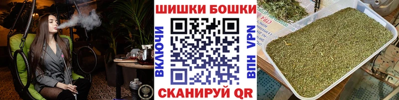 ссылка на мегу tor  Гаврилов-Ям  Канабис планчик  купить  цена 
